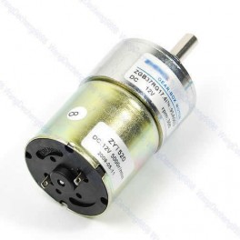 High Torque Gear-Box Electric Motor 12V DC 300 RPM