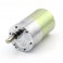 High Torque Gear Motor 12V DC 300 RPM